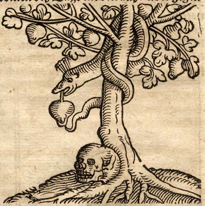 The tree of knowledge of good and evil